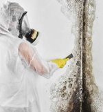 Mold Remediation